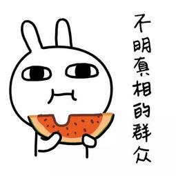 娱乐吃瓜酱喜欢就要珍惜,与娱乐吃瓜酱共度美好时光